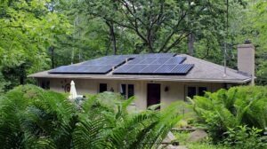 A single-story house with a chimney is nestled in a lush, green forest. The roof is equipped with multiple solar panels. Surrounding the house are various plants and trees, adding to the tranquil setting. An umbrella is visible near the vegetation in the front yard.